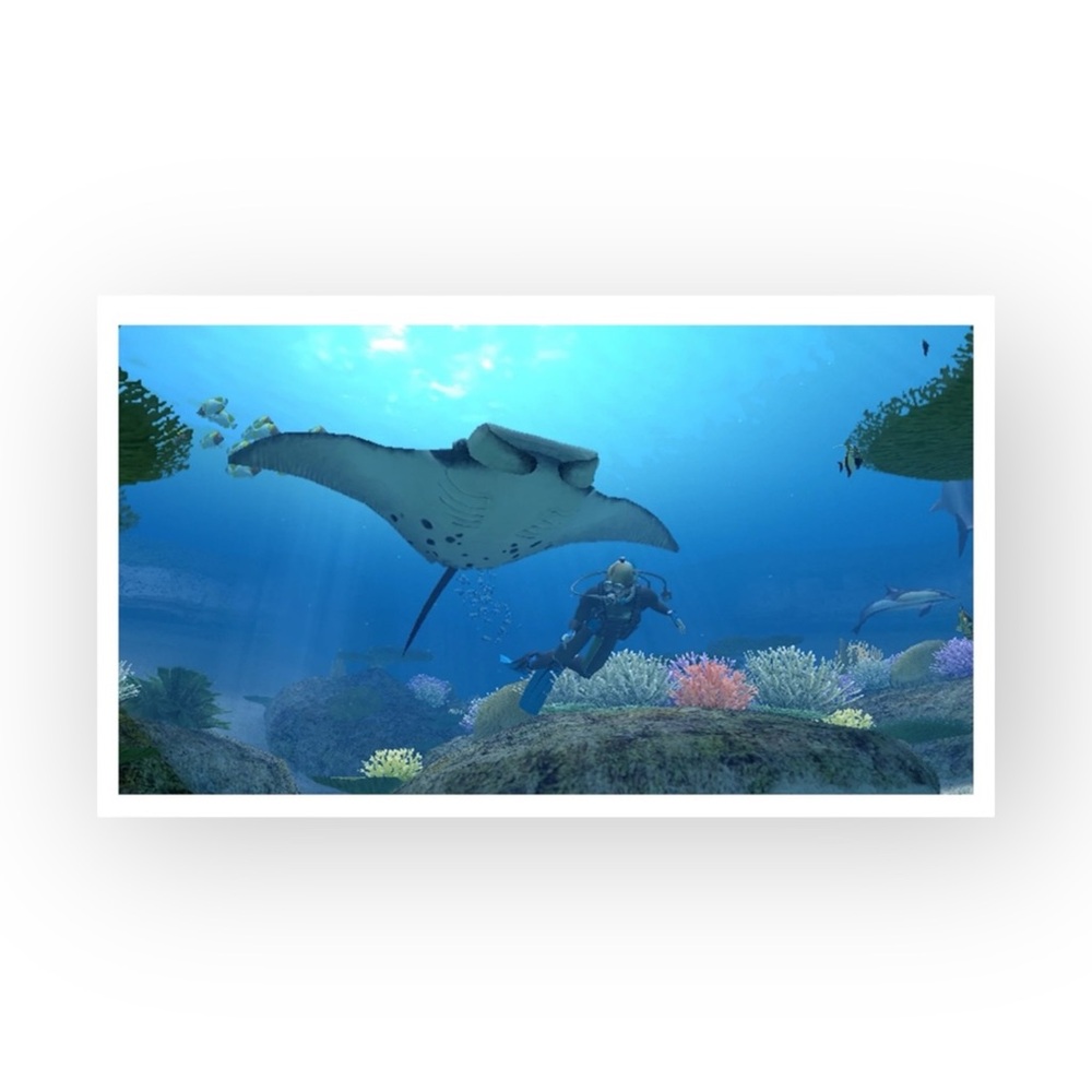 HTF: Nintendo Wii ๐ Endless Ocean: Dive Discover Dream Game ๐ Original Case ๐ - Picture 12 of 14